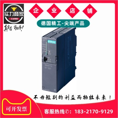 西門子6ES7312-1AE14-0AB0模塊1AE14 6ES73121AE140AB0