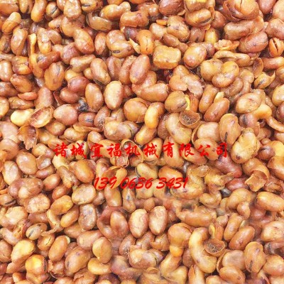 蠶豆油炸機 蠶豆油炸鍋 宜福炸蠶豆生產線 價格 圖片