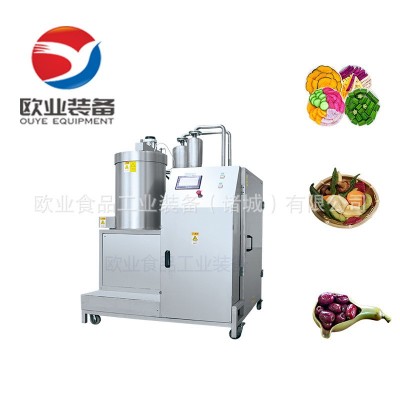 工廠直供 果蔬脆片生產(chǎn)線 小型果蔬脆片加工設(shè)備 網(wǎng)紅休閑食品機(jī)