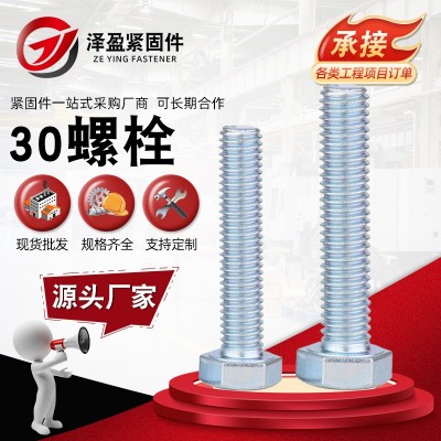 30栓 外六角鍍鋅螺栓 藍白鋅外六角螺絲 4.8級半牙全牙螺栓30栓
