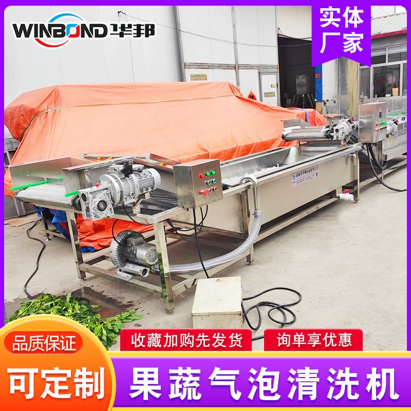 青椒辣椒清洗流水線 洗菜機 華邦全自動果蔬清洗機 廠家供應