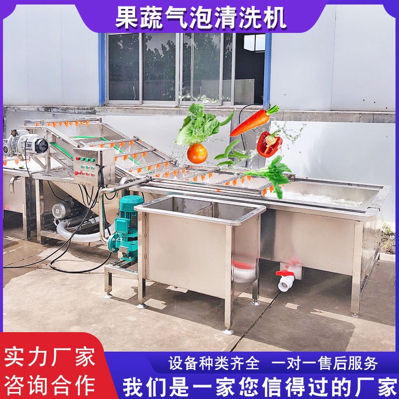 氣泡果蔬清洗機 半成品預制菜加工設備 白菜冬筍海帶蔬菜清洗機