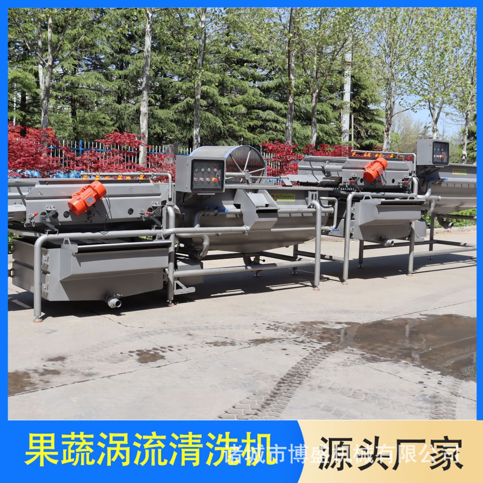 豆菜類清洗振動瀝水機 果蔬氣泡清洗機 蘿卜渦流清洗振動瀝水設備