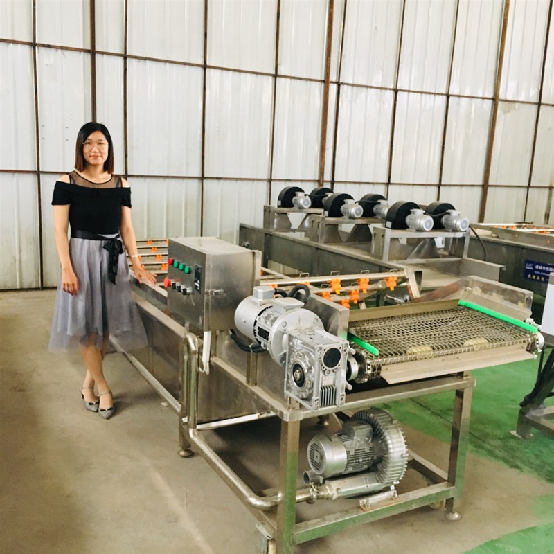 花椒八角清洗機 桂皮不銹鋼鏈板清洗機 調理品清洗風干一體機設備