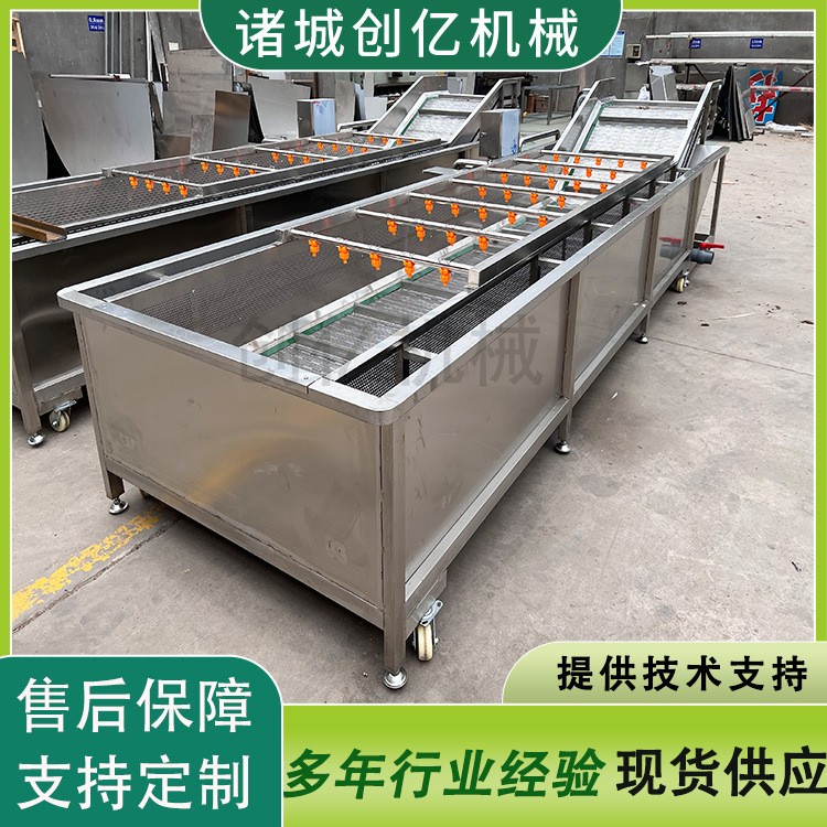 現貨櫻桃氣泡翻浪式清洗機設備 龍眼桂圓全自動氣泡噴淋清洗機