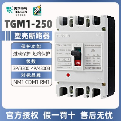 天正塑料外殼式斷路器TGM1-250L/3300三相三線四線250A空氣開(kāi)關(guān) 2個(gè)起批