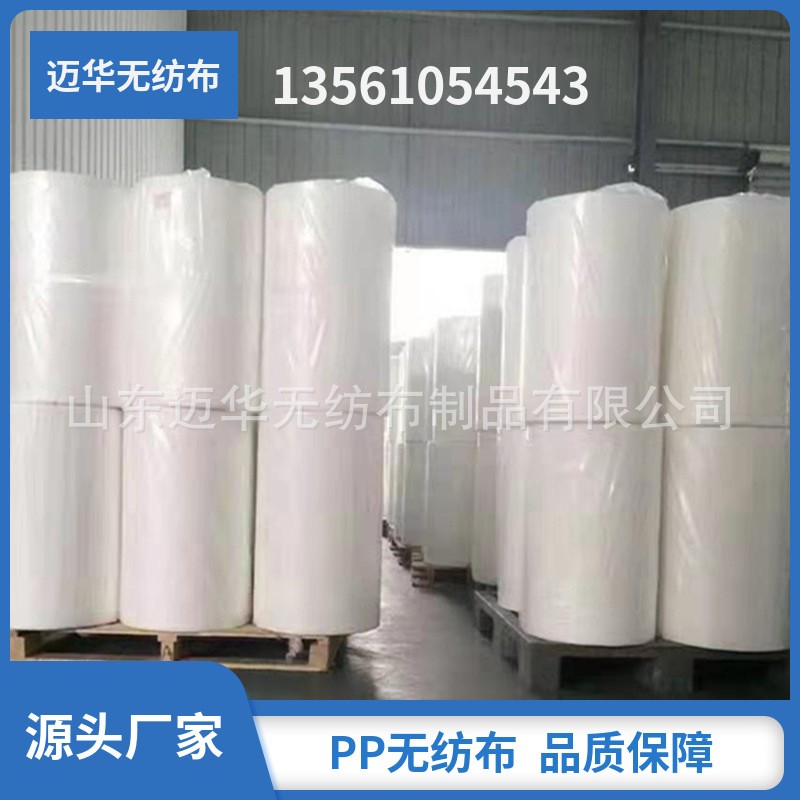 廠家生產(chǎn)PP無紡布丙綸無紡布白色非織布包裝無紡布材料紡粘非織布
