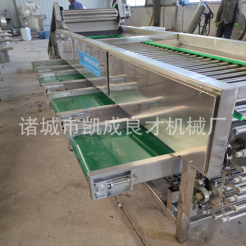 大蒜分選機|大蒜分揀機 圓蔥分選機