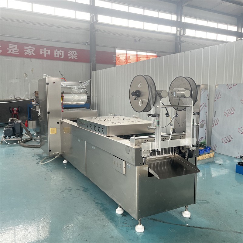 魚(yú)排拉伸膜真空包裝機(jī) 熟食抽真空包裝機(jī) 袋裝零食封口機(jī)