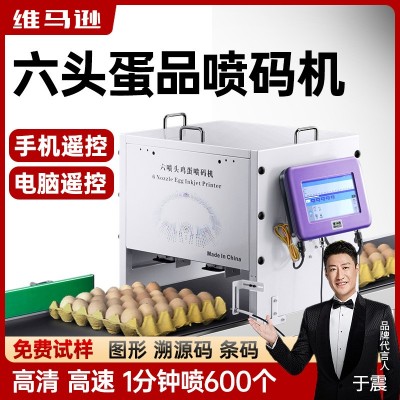全自動(dòng)流水線六噴頭雞蛋噴碼機(jī)打生產(chǎn)日期圖形流水線在線打碼機(jī)