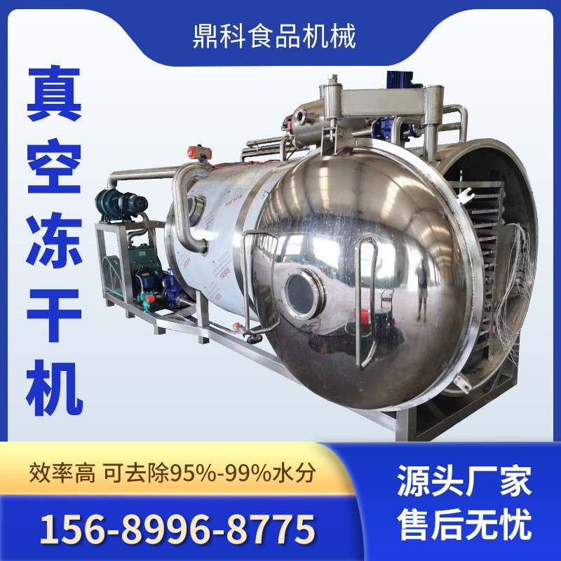 水果液體真空凍干機(jī)器大型冷凍式干燥機(jī)凍干設(shè)備生物制品凍干機(jī)